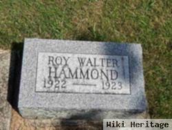 Roy Walter Hammond