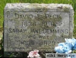 David E Peck