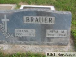 Frank Brauer