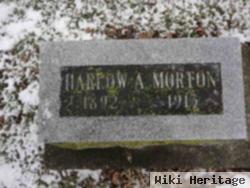 Harlow A Morton