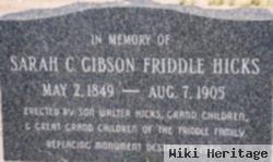 Sarah Catherine Gibson (Friddle) Hicks