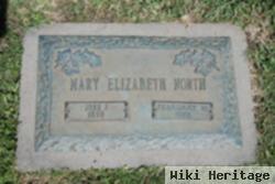 Mary Elizabeth North