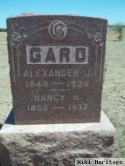 Alexander J Gard