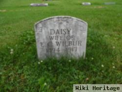 Daisy Wilbur