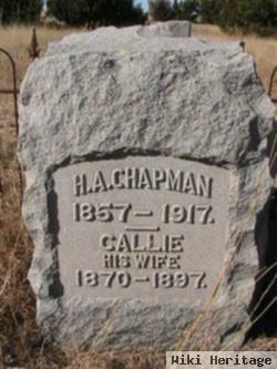 H A Chapman