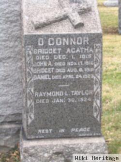 Raymond L Taylor