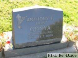 Anthony E Gonya