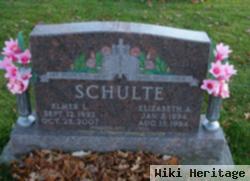 Elmer L Schulte