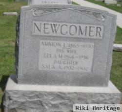 Ammon Linert Newcomer