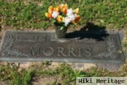 Robert E Morris, Jr