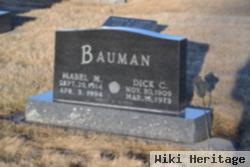 Dick C. Bauman