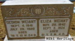 Eliza Beshore Weiant