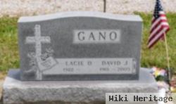 David J. Gano