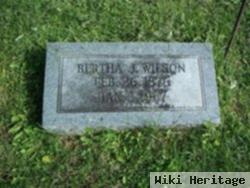 Bertha Josephine Story Wilson