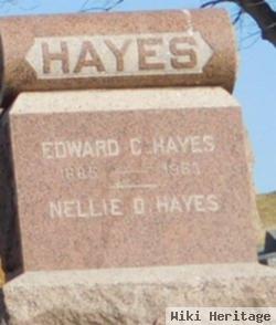 Nellie D Hayes