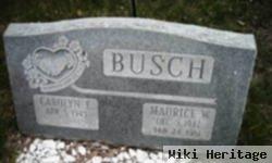 Maurice W Busch