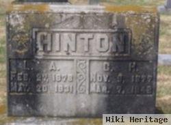 Laura Ann Davis Hinton