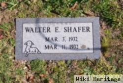 Walter Earl Shafer