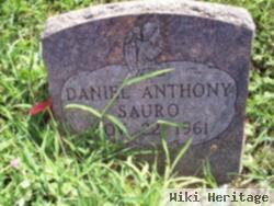 Daniel Anthony Sauro