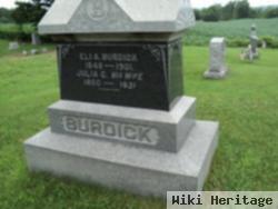 Eli Albert Burdick