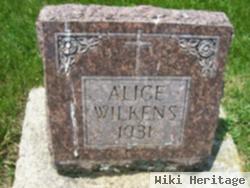 Alice Wilkens