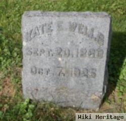 Kate E Wells