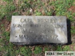 Carl Wesley Link