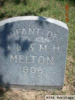 Infant Melton