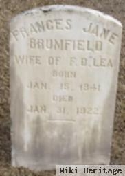 Frances Jane Brumfield Lea