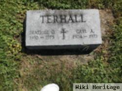 Carl A. Terhall