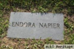 Endora Napier