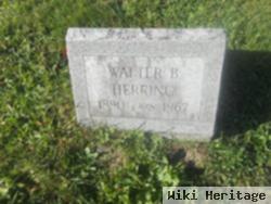 Walter B Herring