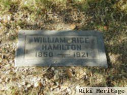 William Rice Hamilton