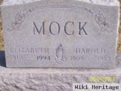 Elizabeth L Fleming Mock