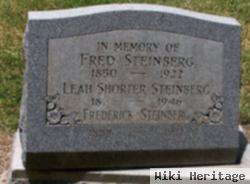 Frederick Steinberg