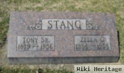 Tony Stang