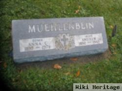 Andrew Muehlenbein