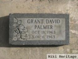 Grant David Palmer