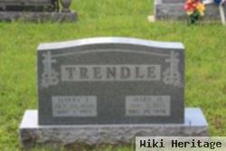 Mary H Trendle