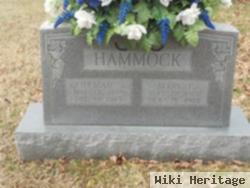 Coleman Jefferson Hammock