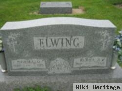 Daniel H. Elwing