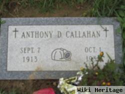 Anthony D Callahan