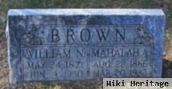 William Nathan Brown
