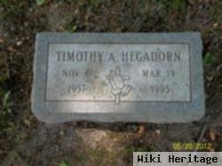 Timothy A Hegadorn