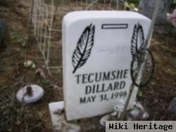 Tecumshe C Dillard