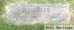 Mary Catharine Noffsinger Melester