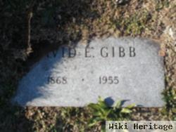 David E. Gibb