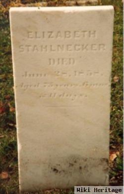 Elizabeth Truckenmiller Stahlnecker