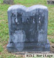 Sarah Ann Moore Clark