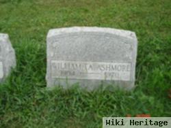 William T A Ashmore